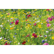 ReNatura Blütenzauber Nord 0.275 kg