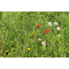 ReNatura Blumenwiese 0.275 kg