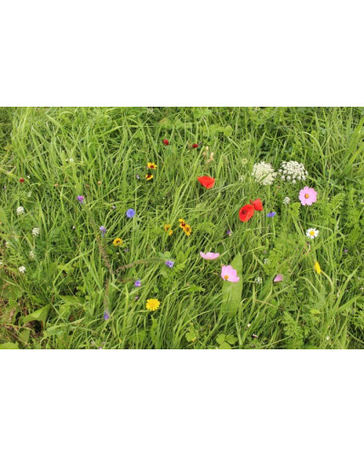 ReNatura Blumenwiese 0.275 kg