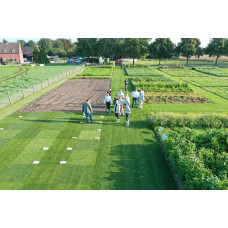 ReNatura Bio Blaue Lupine Saatgut 0.5 kg