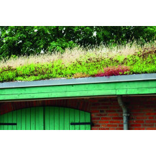 ReNatura Extensive Dachbegrünung 0.275 kg