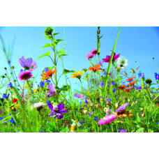 ReNatura Schnittblumen 0.275 kg