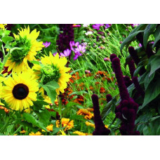 ReNatura Singvogeloase 0.275 kg