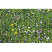 ReNatura Wildblumen 0.275 kg