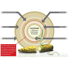 Greenfield Trockenrasen Mantelsaat Vital 1 kg