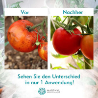 MARPHYL Marine Phytoplankton Organischer Flüssigdünger 1 Liter