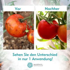 MARPHYL Marine Phytoplankton Organischer Flüssigdünger 1 Liter