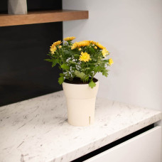 Happy-Plants Dali-Dea Orchideentopf Selbstbewässernd Ø 12.5 cm, H 14.5 cm 1.25 Liter - Canvas