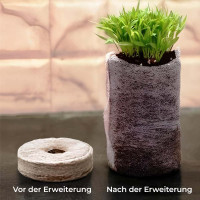 Coco Native Kokos Quelltöpfe Set Ø 36 mm 24 stk