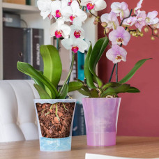 Coco Native Orchideen Kokoserde 4.5 kg